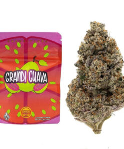 Grandi Guava